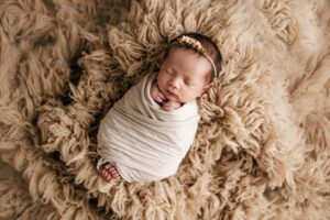 cary studio newborn