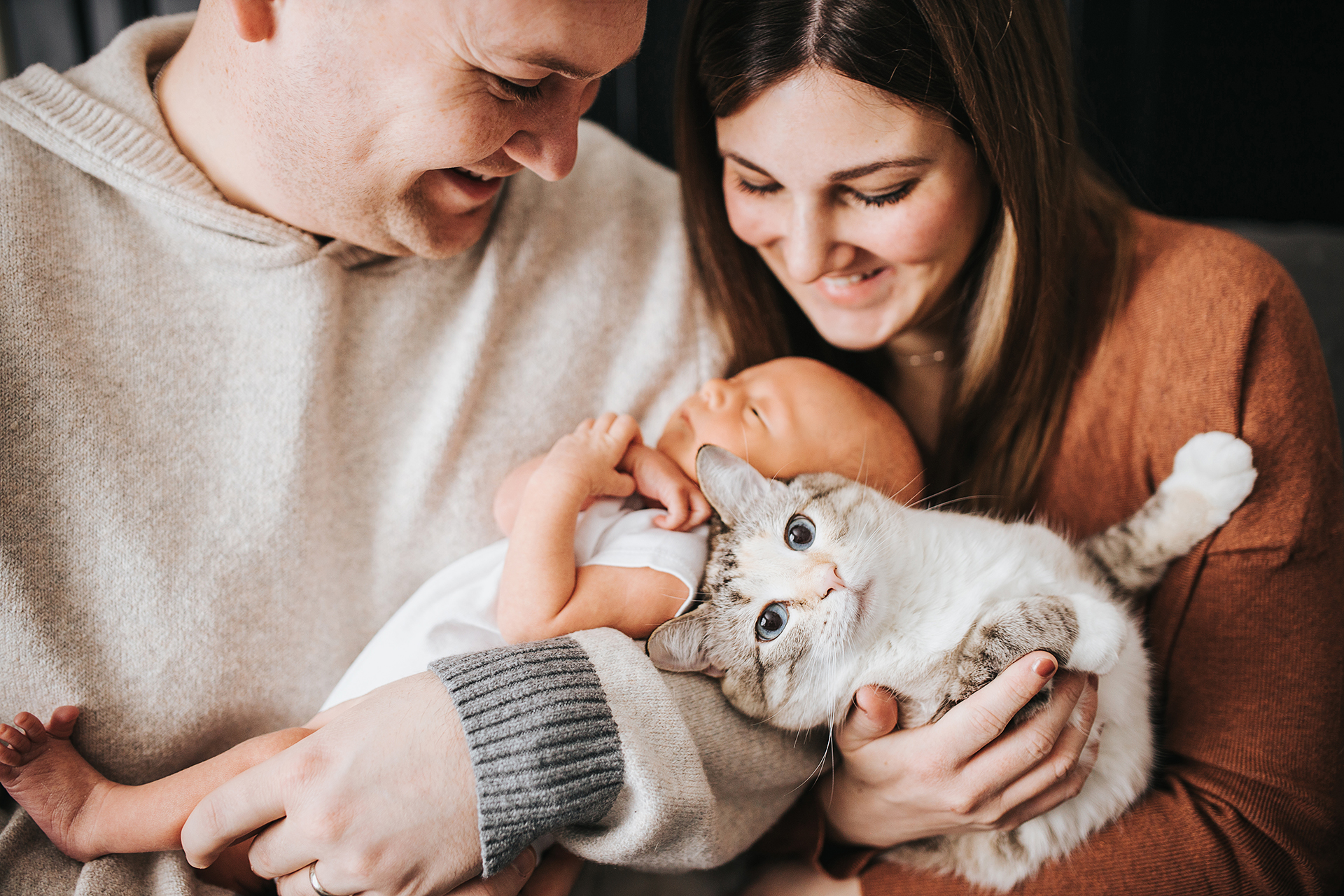 newborn with cat- apex lifestyle photography