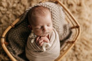 newborn photos cary
