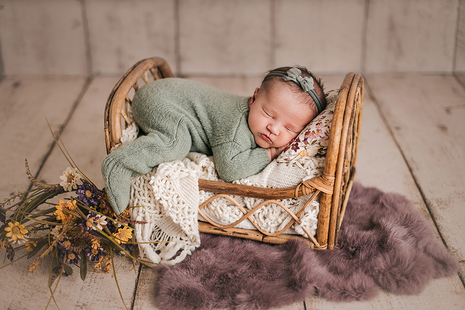 raleigh newborn photos