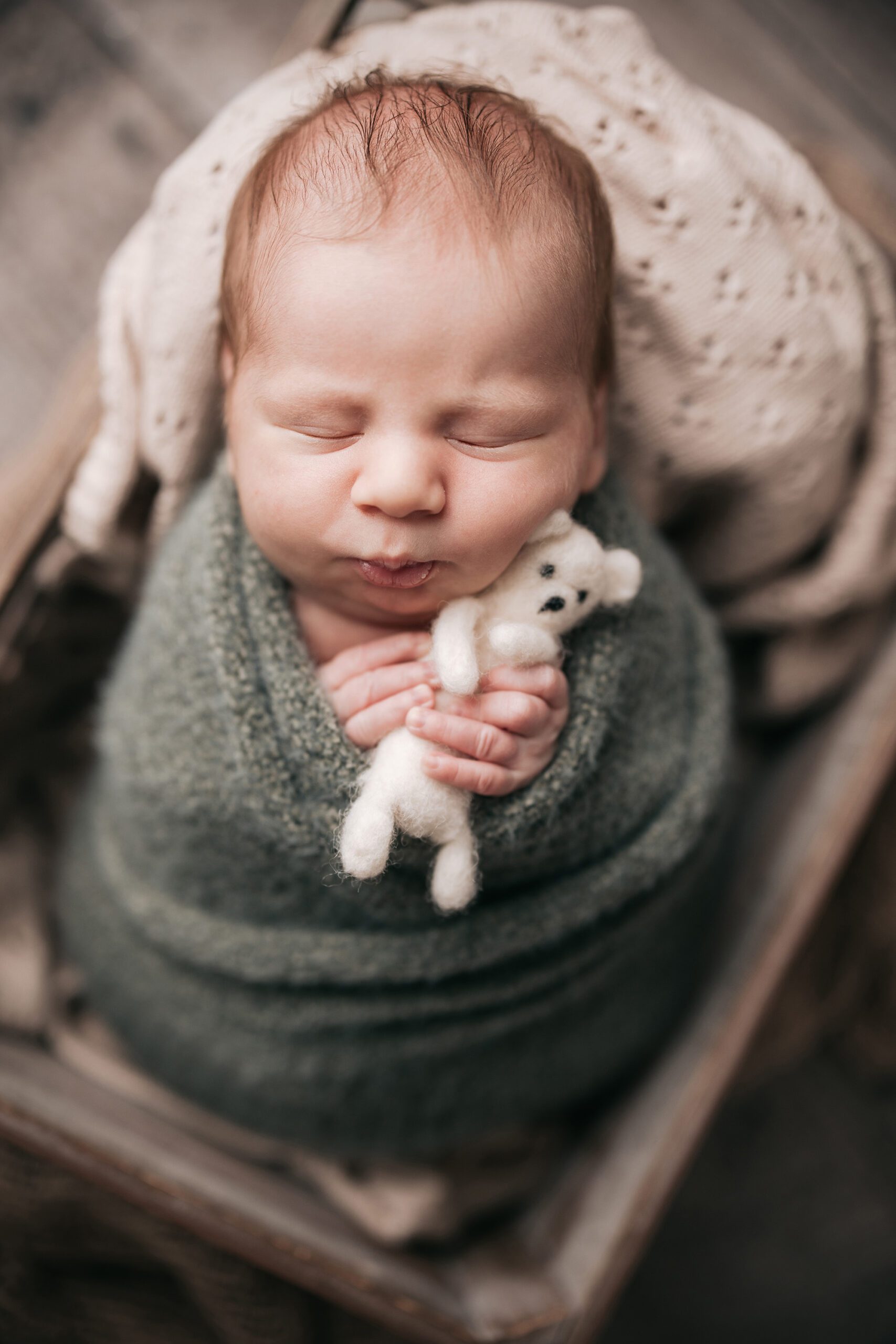 newborn photos wake forest