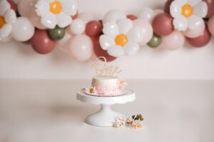 daisy smash cake setup, raleigh cake smash photographer